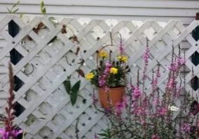 An orange basket of yellow flowers on a white fence with pink flowers next to it.